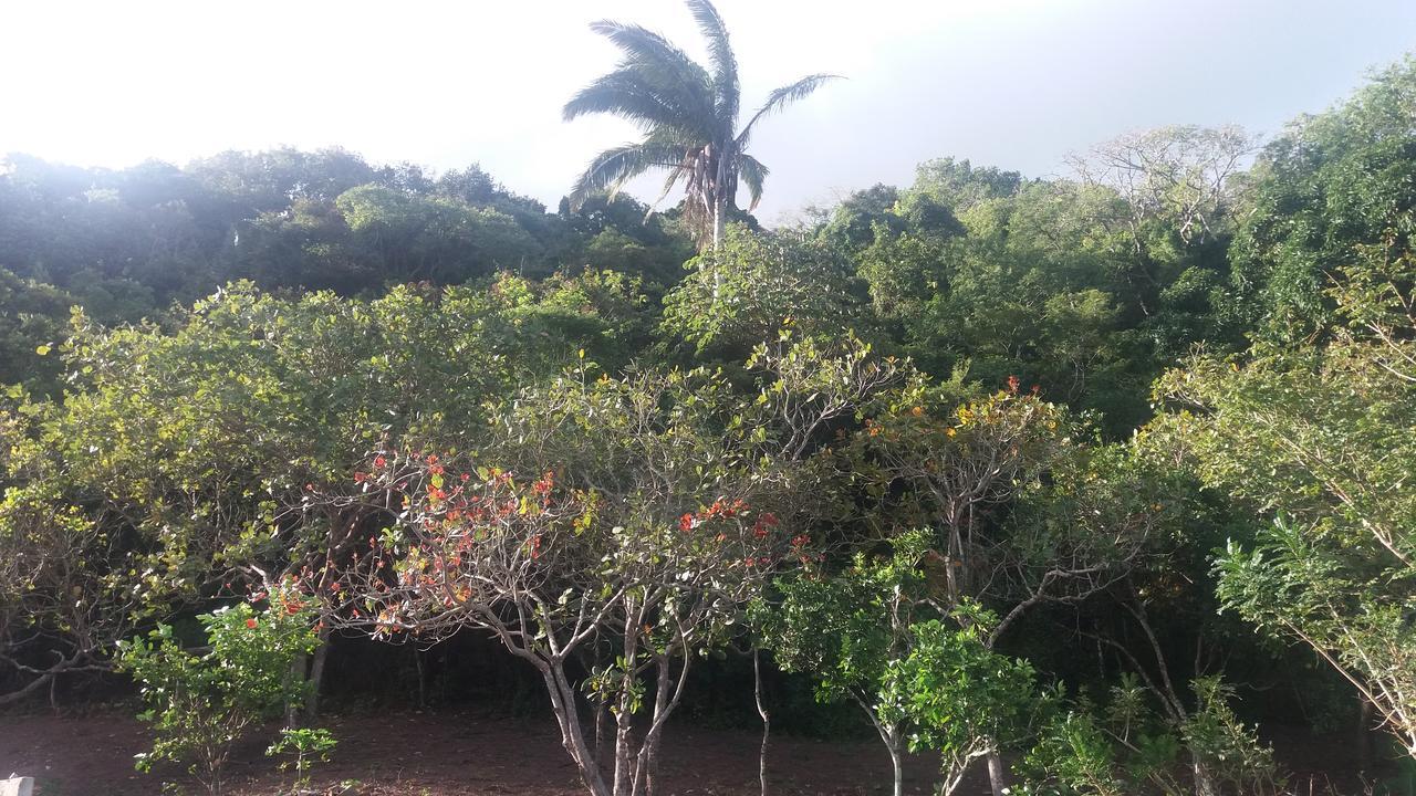 Refugio Na Serra Bananeiras Exterior foto